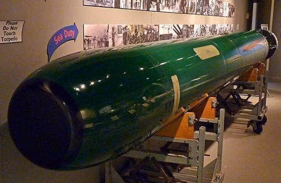 Nhiên liệu sử dụng cho động cơ là nhiên liệu Otto II, loại nhiên liệu này có độ ổn định nhiệt tốt, để đảm bảo sinh điện liên tục và ổn định. Đồng thời chất Otto II thường rất ổn định, ít bị hư hỏng trong nhiều năm và không bị ăn mòn, bảo đảm bảo ngư lôi luôn sẵn sàng chiến đấu cao và hiệu quả.