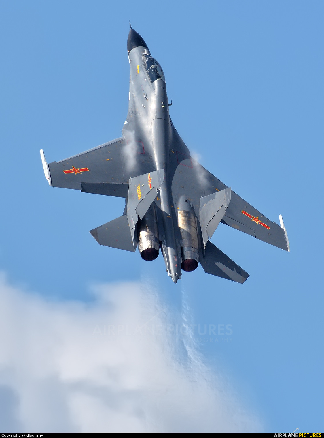 Về mặt động cơ thì Su-30MKI trang bị động cơ AL-31FP có vòi phun chỉnh hướng véc tơ tăng khả năng cơ động cao hơn hẳn so với động cơ AL-31F trên Su-27SK/Su-30MKK và cả Thái Hành WS-10 của J-11B.