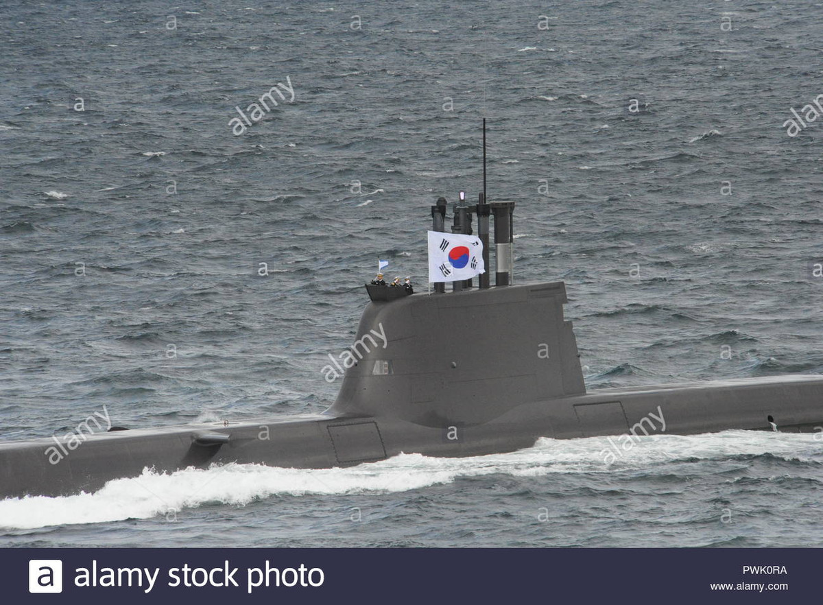 Về lực lượng tàu ngầm, hải quân Hàn Quốc có 9 tàu ngầm lớp Chang Bogo; đây là loại tàu ngầm điện-diesel Type 209 do Hãng đóng tàu Howaldtswerke-Deutsche Werft (HDW) của Đức phát triển; Hàn Quốc mua bản quyền và tự sản xuất trong nước.