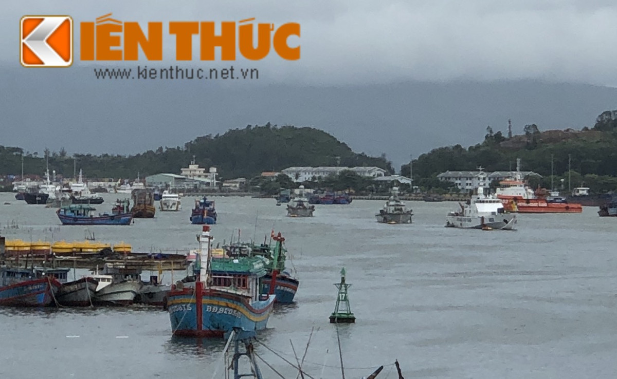 Bên cạnh việc neo đậu tàu ngư dân, một điều đặc biệt là tàu chiến của Vùng 3 Hải quân, tàu của Chi đội Kiểm ngư số 3 và Vùng Cảnh sát biển 2 cũng di chuyển nối đuôi nhau từ Quân cảng Tiên Sa vào trong luồng nội thủy để tránh trú bão, tạo ra một cảnh tượng hiếm thấy. Ảnh: Đội hình tàu hỗn hợp của Hải quân, Cảnh sát biển và Kiểm ngư di chuyển thành hàng đi tránh trú bão.
