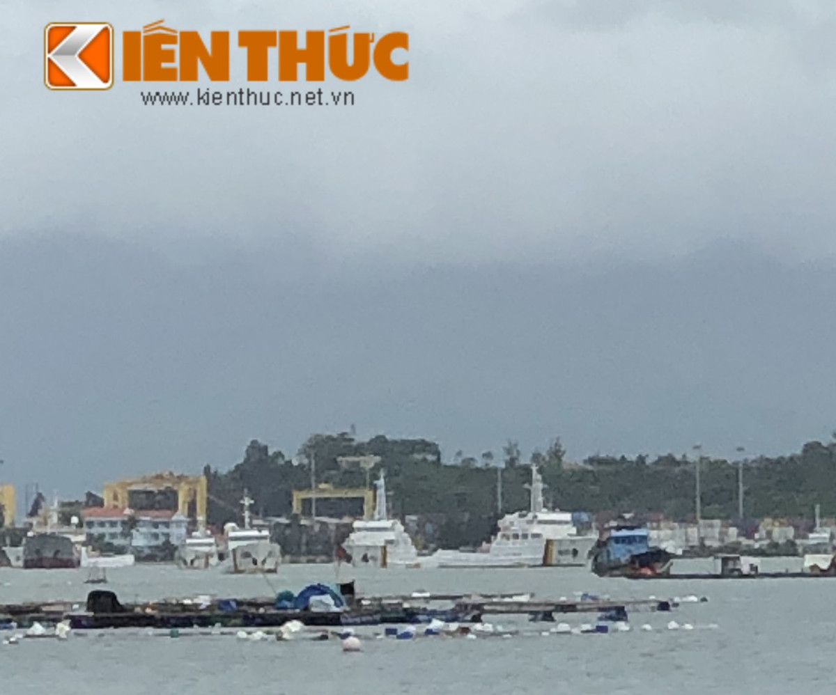 Số lượng các tàu quân sự di chuyển tránh trú bão với con số rất lớn, xen lẫn trong luồng nước nội thủy là tàu cá của ngư dân di chuyển, do đó công tác bảo đảm an toàn cho phương tiện và con người của cả quân đội lẫn nhân dân đều được đặt lên hàng đầu. Các tàu phải tuân thủ quy định về hàng và tốc độ, cùng với đó là nhanh nhẹn xử lý các tình huống phát sinh để tránh các nguy hiểm không đáng có. Ảnh: Đội hình tàu Kiểm ngư di chuyển vào nơi tránh bão.