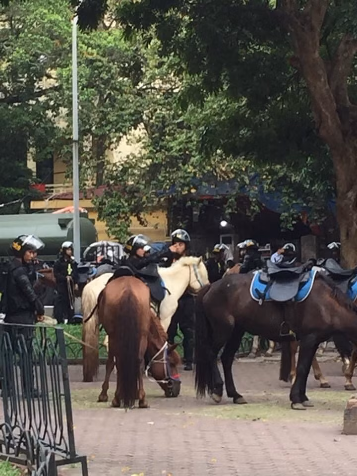 Ảnh: Các chiến sĩ và ngựa của Đoàn CSCĐ Kỵ binh tập kết trước khi thực hiện huấn luyện diễu binh.