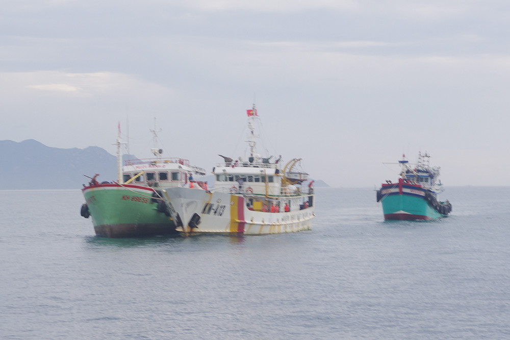 Những hỗ trợ của Cục phòng chống Ma túy và Thực thi Pháp luật Quốc tế (INL) Mỹ trong khuôn khổ bản ghi nhớ sẽ giúp nâng cao và tăng cường khả năng cho Tổng cục Thủy sản và lực lượng Kiểm ngư Việt Nam lên rõ rệt. Thông qua các hoạt động trao đổi, chia sẻ thông tin, kinh nghiệm thực tiễn tốt nhất, cũng như thực hiện các dự án và chương trình hỗ trợ phù hợp. Ảnh: Tàu kiểm ngư lai dắt tàu cá bị nạn của ngư dân về bờ an toàn.