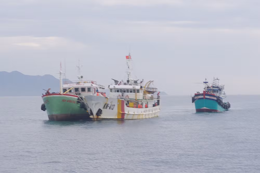 Những hỗ trợ của Cục phòng chống Ma túy và Thực thi Pháp luật Quốc tế (INL) Mỹ trong khuôn khổ bản ghi nhớ sẽ giúp nâng cao và tăng cường khả năng cho Tổng cục Thủy sản và lực lượng Kiểm ngư Việt Nam lên rõ rệt. Thông qua các hoạt động trao đổi, chia sẻ thông tin, kinh nghiệm thực tiễn tốt nhất, cũng như thực hiện các dự án và chương trình hỗ trợ phù hợp. Ảnh: Tàu kiểm ngư lai dắt tàu cá bị nạn của ngư dân về bờ an toàn.