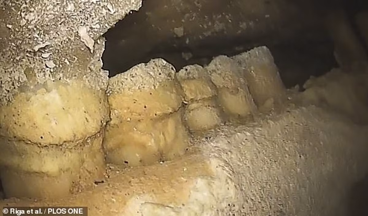 Được phân biệt bởi khung xương to cao vững chắc và cặp lông mày rậm, người Neanderthal trông khá giống chúng ta và sống tập trung ở nhiều vùng trên lục địa châu Âu trong hơn 300.000 năm.