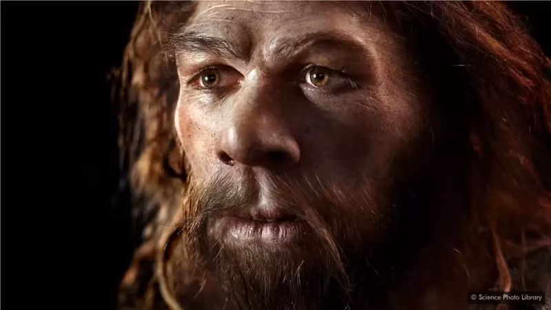 Người Neanderthal là nhóm người kiên cường. Họ tồn tại lâu hơn khoảng 200.000 năm so với chúng ta, loài người hiện đại (Homo sapiens).