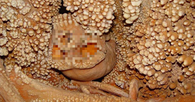 Hóa thạch của người đàn ông được thiên nhiên ướp xác 130.000 năm này được các nhà khoa học đặt tên là Altamura Man.