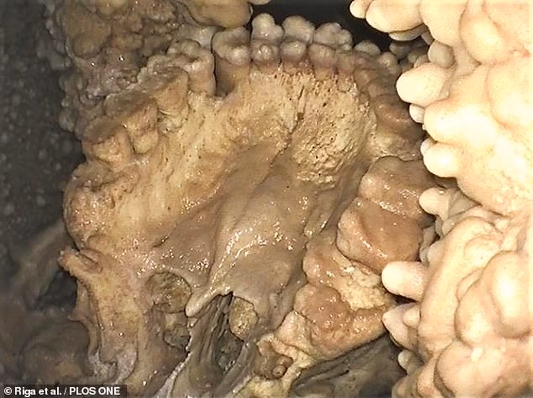 Có lẽ ban đầu, nếu ai nhìn thấy dáng vẻ của Altamura Man đều phải bịt miệng và chạy ra ngoài bởi bộ dạng vô cùng đáng sợ.