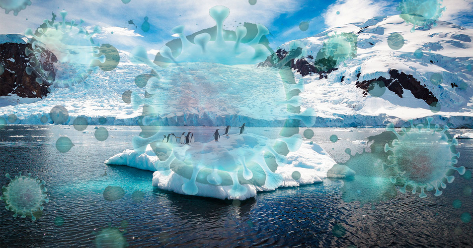 Nguyên nhân của đợt bùng phát được cho là do một đợt nắng nóng làm tan chảy lớp băng vĩnh cửu và người bệnh đã tiếp xúc với xác một con tuần lộc bị nhiễm bệnh. Trước đó, đợt bùng phát bệnh than cuối cùng trong khu vực là vào năm 1941.