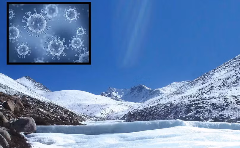 Thậm chí, những con giun tròn nhỏ bé đã có thể hồi sinh sau khi bị chôn vùi 42.000 năm dưới lớp băng vĩnh cửu.