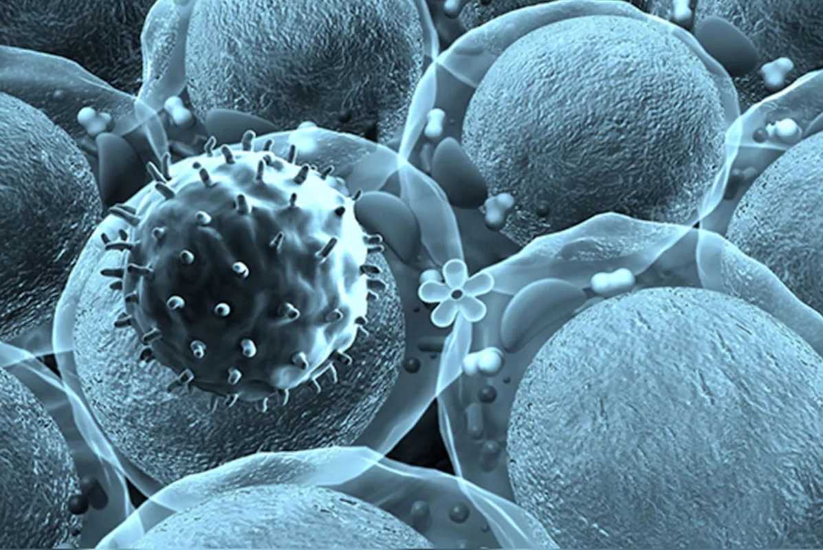 Thậm chí, các nhà khoa học còn tìm kiếm được các loại vi khuẩn 750.000 năm tuổi.