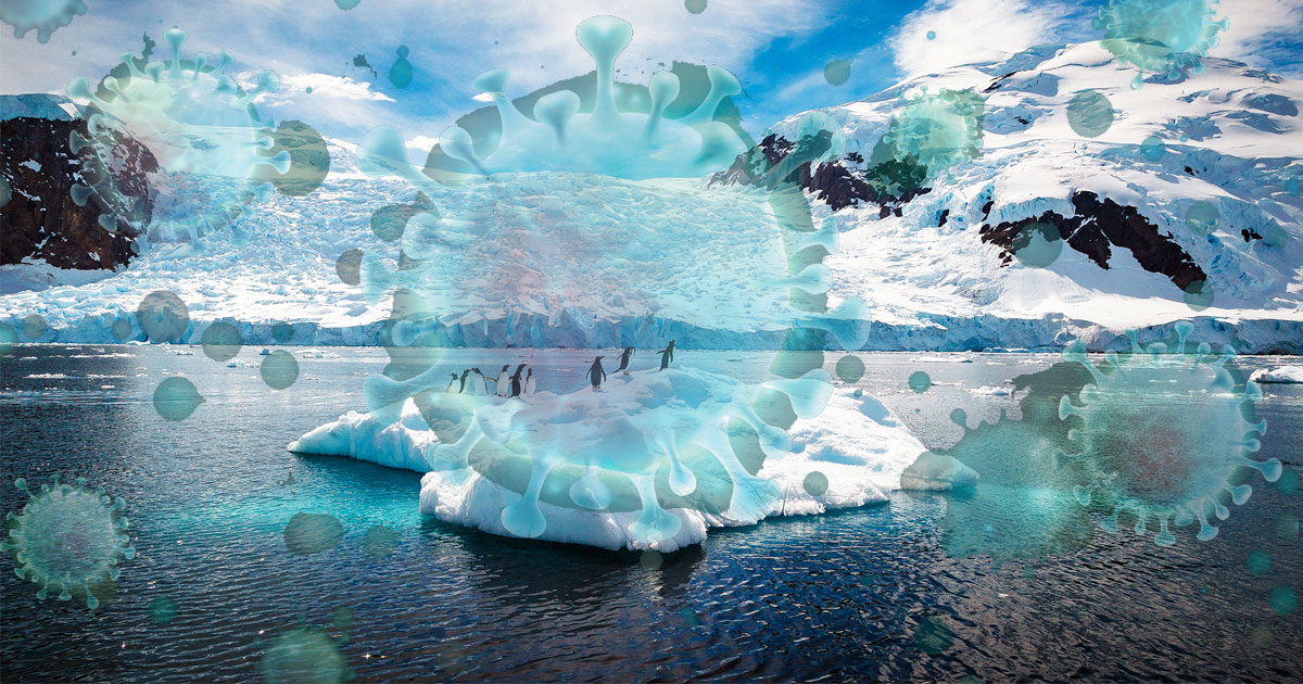 Vào năm 2016, một đợt bùng phát bệnh than ở miền Bắc Siberia (Nga) đã làm một trẻ em thiệt mạng và lây nhiễm bệnh cho ít nhất 7 người khác.