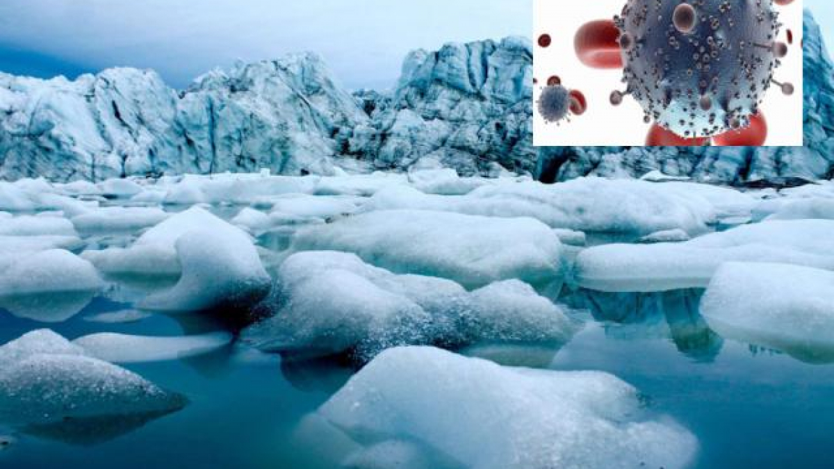 Nguyên nhân của đợt bùng phát được cho là do một đợt nắng nóng làm tan chảy lớp băng vĩnh cửu và người bệnh đã tiếp xúc với xác một con tuần lộc bị nhiễm bệnh. Trước đó, đợt bùng phát bệnh than cuối cùng trong khu vực là vào năm 1941.