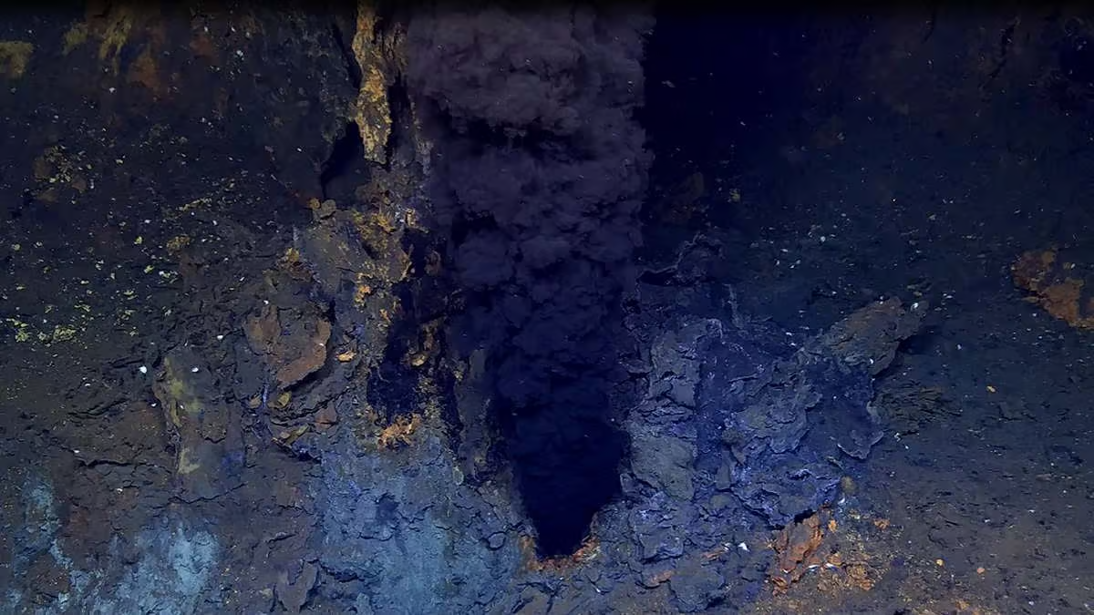 Trên thực tế, theo các nhà nghiên cứu, vi khuẩn Sulfurimonas chỉ được quan sát là chúng sử dụng sulfua để làm nguồn năng lượng.