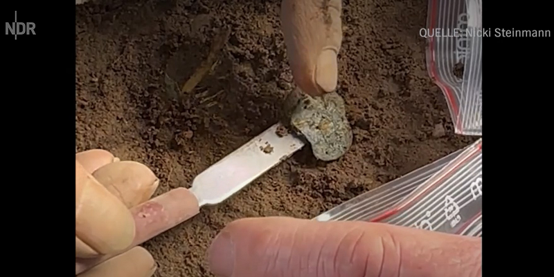 Những kho báu như vậy rất hiếm gặp ở Schleswig-Holstein.