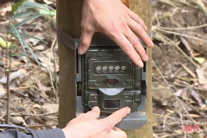 Việc lắp đặt các điểm bẫy ảnh nằm trong hợp phần bảo tồn đa dạng sinh học thuộc Dự án “Quản lý rừng bền vững và Bảo tồn đa dạng sinh học” (VBFC) do Tổ chức Quốc tế về Bảo tồn Thiên nhiên tại Việt Nam (WWF-Việt Nam) phối hợp với Vườn Quốc gia Vũ Quang triển khai thực hiện. (Ảnh: Báo Hà Tĩnh)
