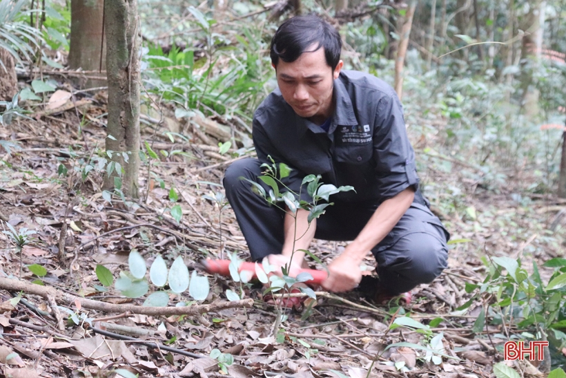 Dự kiến đến khoảng tháng 5/2023, đơn vị sẽ hoàn thành lắp đặt 94 điểm bẫy ảnh giám sát đa dạng sinh học. (Ảnh: Báo Hà Tĩnh)