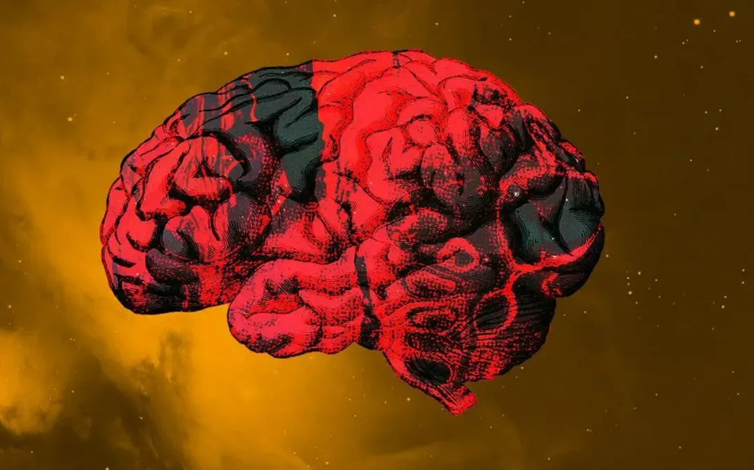 Ngoài sự thay đổi chất lỏng này, nhóm nghiên cứu còn nhận thấy những thay đổi về hình dạng trong não, đặc biệt là trong tiểu thể, một bó sợi thần kinh lớn là đường cao tốc trung tâm kết nối cả hai bán cầu não.