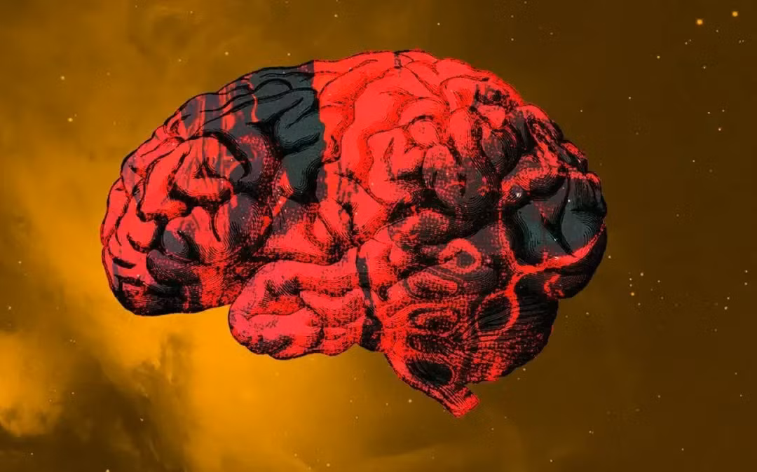 Ngoài sự thay đổi chất lỏng này, nhóm nghiên cứu còn nhận thấy những thay đổi về hình dạng trong não, đặc biệt là trong tiểu thể, một bó sợi thần kinh lớn là đường cao tốc trung tâm kết nối cả hai bán cầu não.