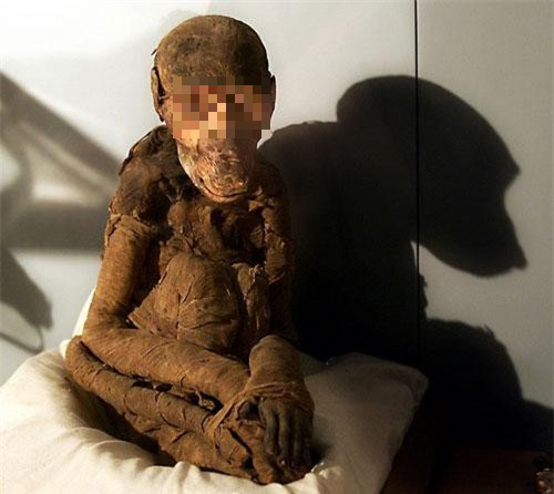 Mặc dù thường bị các nhà sử học và khảo cổ học lãng quên, nhưng xác ướp khỉ đầu chó từ Ai Cập cổ đại được cho có thể là manh mối cuối cùng còn sót lại về vùng đất Punt đã mất từ lâu.