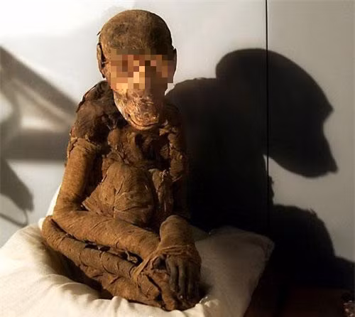 Mặc dù thường bị các nhà sử học và khảo cổ học lãng quên, nhưng xác ướp khỉ đầu chó từ Ai Cập cổ đại được cho có thể là manh mối cuối cùng còn sót lại về vùng đất Punt đã mất từ lâu.