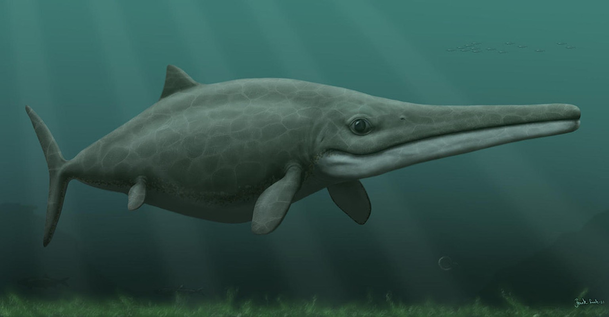 Họ hàng xa của thằn lằn và rắn (lepidosaurs) là những loài bò sát thủy sinh chuyên biệt nhất, nhưng ichthyosaurs không phải là khủng long .