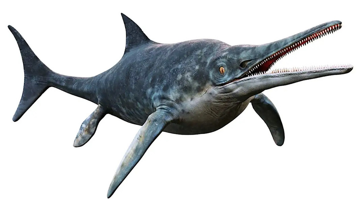 Ichthyosaur là bất kỳ thành viên nào của nhóm bò sát thủy sinh đã tuyệt chủng. Hầu hết chúng đều rất giống với cá heo về ngoại hình và thói quen.