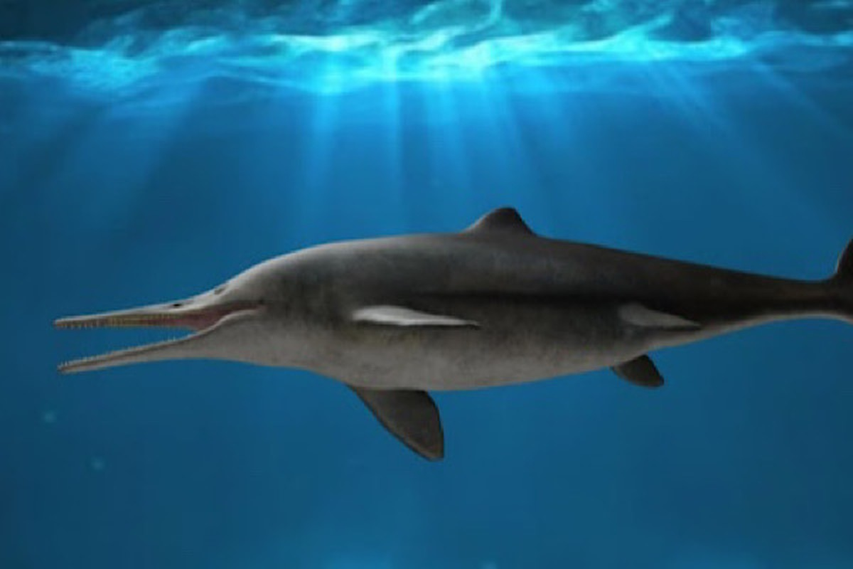 Sự kiện tuyệt chủng hàng loạt cuối kỷ Nhị Điệp xảy ra từ 252 triệu năm trước, tàn phá hệ sinh thái biển và mở đường cho cái gọi là "Thời đại Khủng long", với những con khủng long sơ khai nhất ra đời vài chục triệu năm sau đó trong kỷ Tam Điệp.