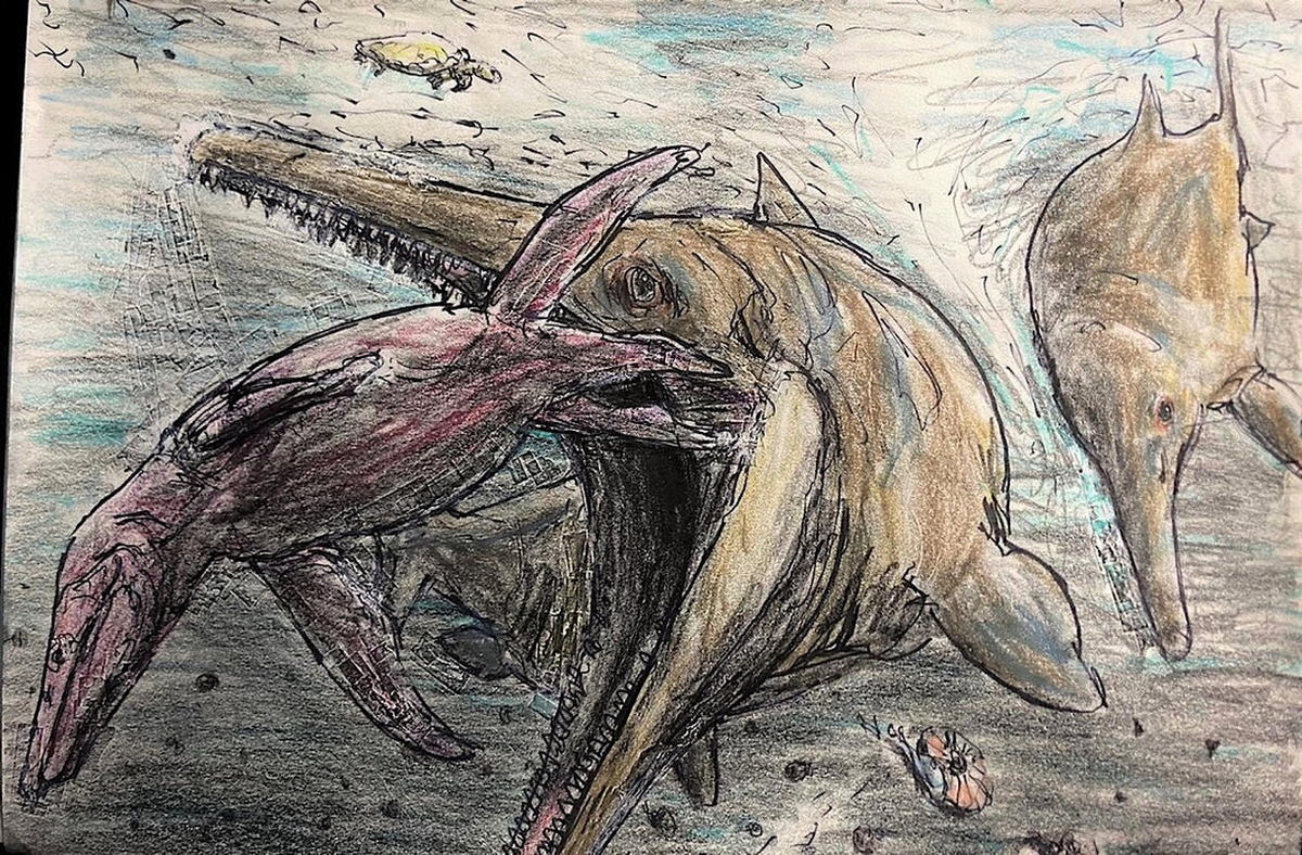 Ichthyosaurs có sự phân bố địa lý rất rộng, và các di tích hóa thạch của chúng trải dài gần như toàn bộ Kỷ nguyên Mesozoi (251 triệu đến 65,5 triệu năm trước); nhưng chúng phong phú và đa dạng nhất trong kỷ Trias và kỷ Jura (251 triệu đến 145,5 triệu năm trước).