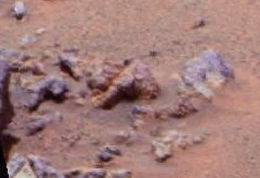 Cụ thể, ông Martin cho hay đã phát hiện những vật thể bí ẩn bị hoài nghi là thi thể ngoài hành tinh.