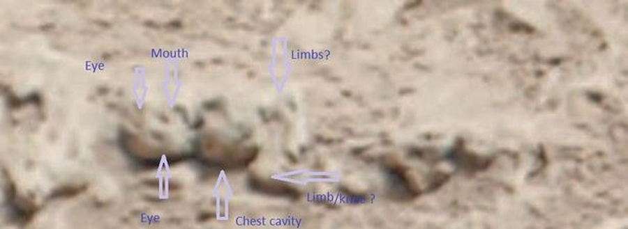 Sau nhiều giờ xem các bức ảnh của NASA, ông Martin tuyên bố đã phát hiện điều kỳ lạ trong một bức ảnh.