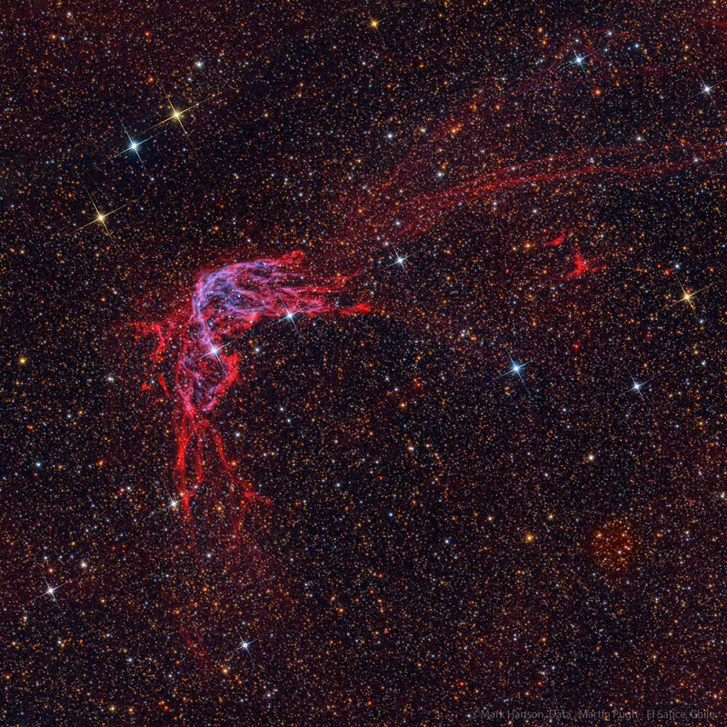 SN 185 là một sự kiện thiên văn học biến đổi tức thời được quan sát thấy trong năm 185, có khả năng là một siêu tân tinh.