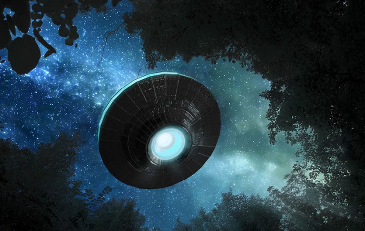 Một giả thuyết khác cho rằng vụ mất tích này là có thể là do Frederick Valentich đã tự dàn dựng. Ông Guido, cha của phi công Frederick cho biết anh là một người rất tin tưởng vào sự tồn tại của các UFO và luôn lo lắng về việc bị chúng tấn công.