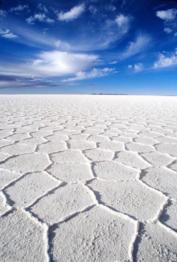 Cấu trúc đa giác cụ thể là lục giác ở đây là kết quả từ sự di chuyển của nước muối (có nồng độ muối hòa tan cao) bên dưới mặt đất.