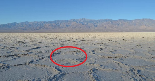 Các nhà khoa học tiến hành thí nghiệm để xem xét cách nước muối di chuyển trong đất cát và phân tích hoa văn kỳ lạ này dưới những điều kiện khác nhau.