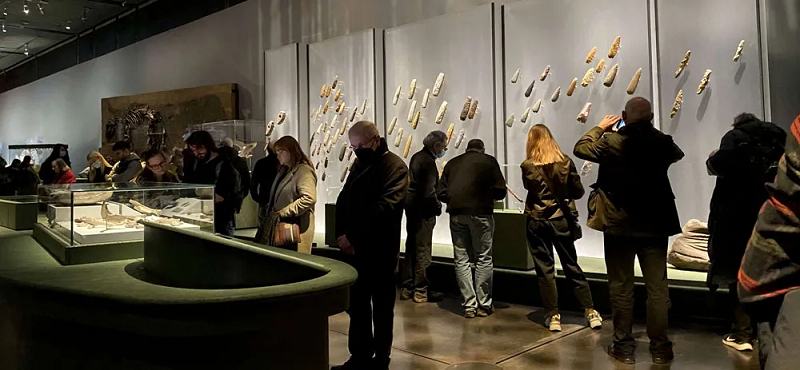 Neil Wilkin, người phụ trách triển lãm "Thế giới Stonehenge" tại Bảo tàng Anh chia sẻ: "Có một cái gì đó bảo vệ ngôi mộ này. Điều đó gần giống như họ đang bảo vệ đứa trẻ nhỏ dễ bị tổn thương. Có một điều gì đó rất thu hút về họ. Không ai biết điều gì đã xảy ra với gia đình hay nhóm gia đình này. Nhưng đây là một cảnh tượng đau lòng. Mọi thứ trong ngôi mộ đã kể cho tôi về một khoảnh khắc xúc động".