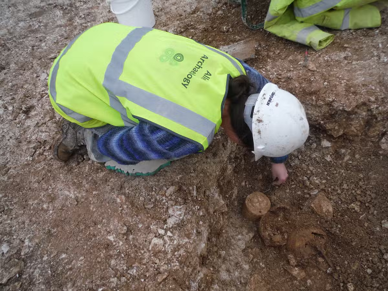 Nguyên nhân cái chết của những đứa trẻ vẫn chưa rõ ràng và nghiên cứu vẫn đang được tiến hành. Có vẻ như ba đứa trẻ chết cùng một lúc hoặc trong một khoảng thời gian rất gần để chúng được chôn cất cùng nhau.