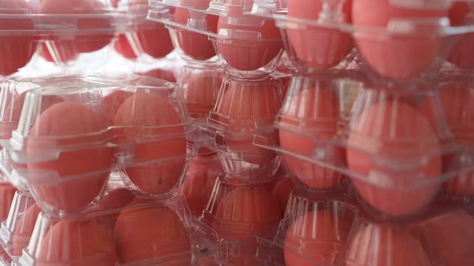 Mặc dù quả trứng được bảo quản của cô Phó có thể không ngon bằng quả trứng thế kỷ, nhưng nó chắc chắn là một minh chứng đáng chú ý về tuổi thọ của một số loại thực phẩm và sự khéo léo của con người trong việc tìm ra cách để chúng tồn tại lâu.