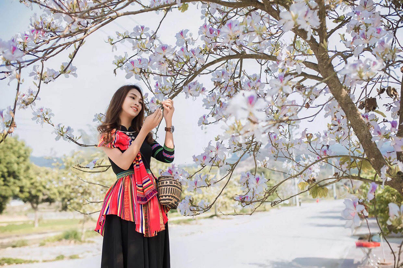 Về Điện Biên ngắm hoa ban nở, hòa mình vào lễ hội vùng cao Ve Dien Bien ngam hoa ban no, hoa minh vao le hoi vung cao