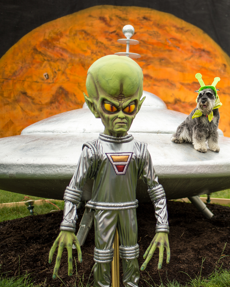 Trường hợp khác, người ngoài hành tinh trên thắt lưng có đeo vật hình ngôi sao như là để trang sức, vật ngôi sao, hoặc hình bầu dục, hoặc vòng tròn đều phát quang.