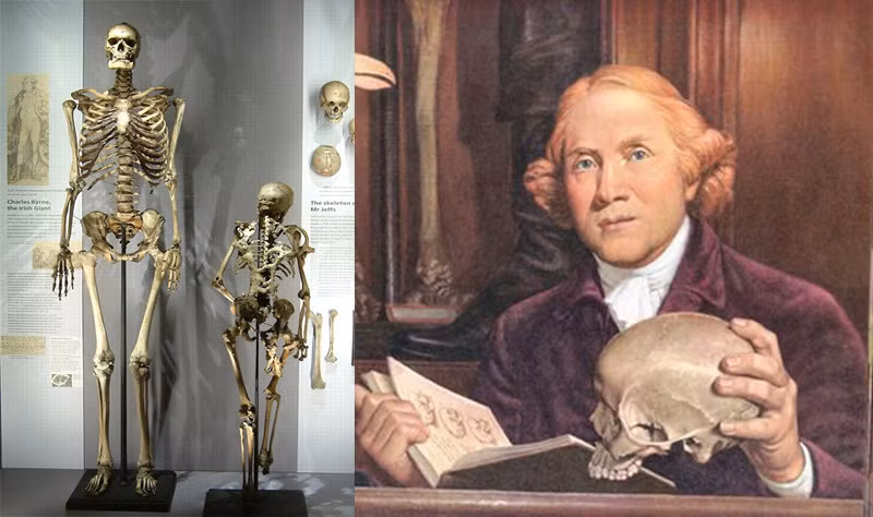 Nhưng những nhà đạo đức nói rằng bởi các nhà khoa học đã trích xuất được DNA của anh ấy, người khổng lồ Ireland nên được yên nghỉ.