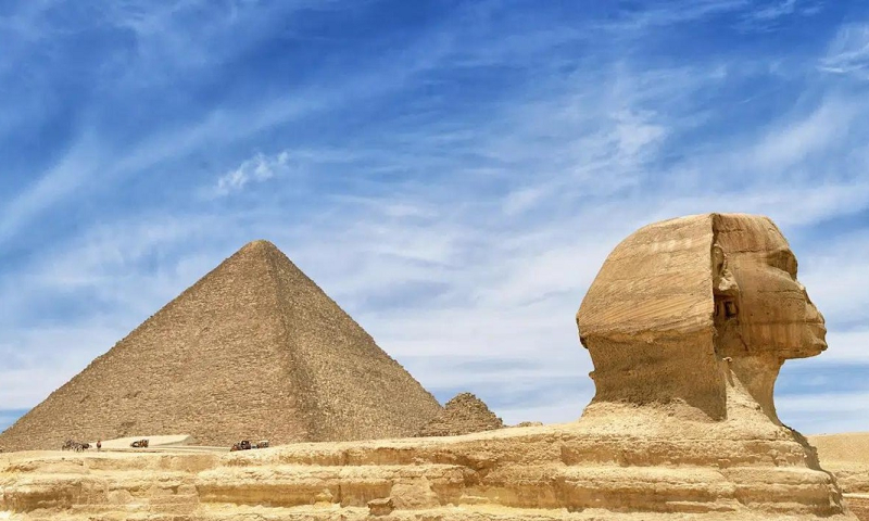 Nếu người bị hỏi không trả lời được, nhân sư sẽ bóp cổ họ. Oedipus là người đã giải được câu đố hiểm hóc này, khi đưa ra đáp án là Con người - bò bằng 4 chân khi còn trẻ con, đi bằng 2 chân khi trưởng thành và chống gậy khi đã già.