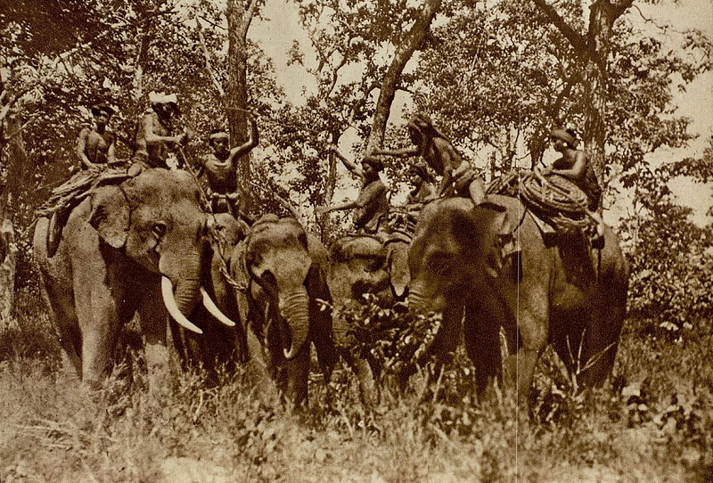 Người dân tộc thiểu số M'nông ở Đăk Lăk trong một chuyến săn voi. (Ảnh: Gallica.bnf.fr.)