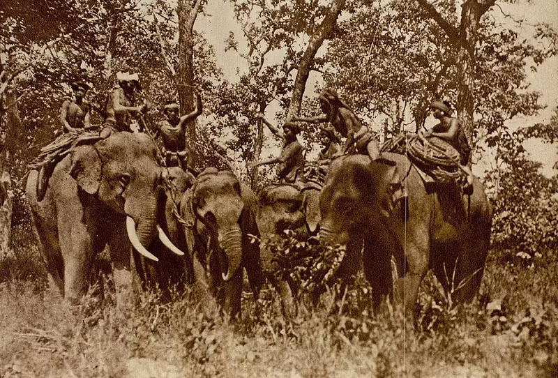 Người dân tộc thiểu số M'nông ở Đăk Lăk trong một chuyến săn voi. (Ảnh: Gallica.bnf.fr.)