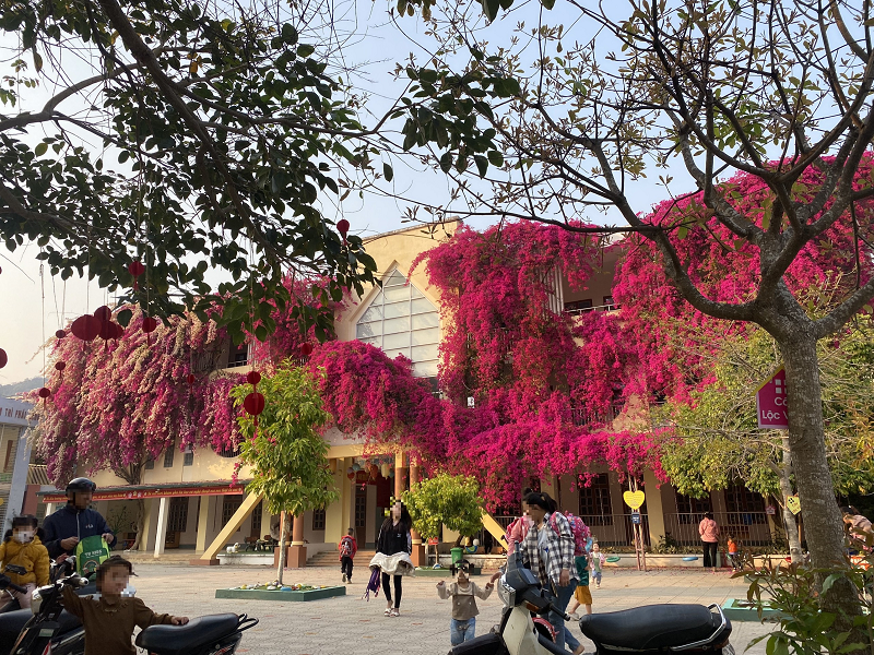 Tram tro ngam gian hoa giay sieu khung trong san truong mam non Son La-Hinh-4