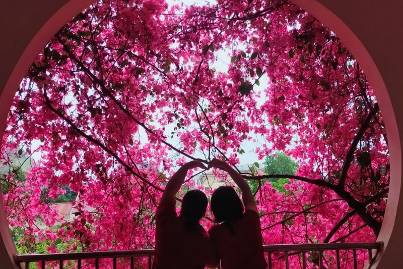 Tram tro ngam gian hoa giay sieu khung trong san truong mam non Son La-Hinh-5