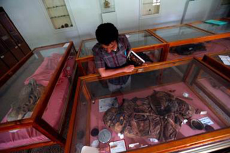 Nhưng ngày nay với tình trạng nguồn điện chập chờn và các cảng bị phong tỏa do nằm dưới sự kiểm soát của phiến quân Houthi, số phận của bộ sưu tập độc đáo này đang bị đe dọa hết sức nghiêm trọng.