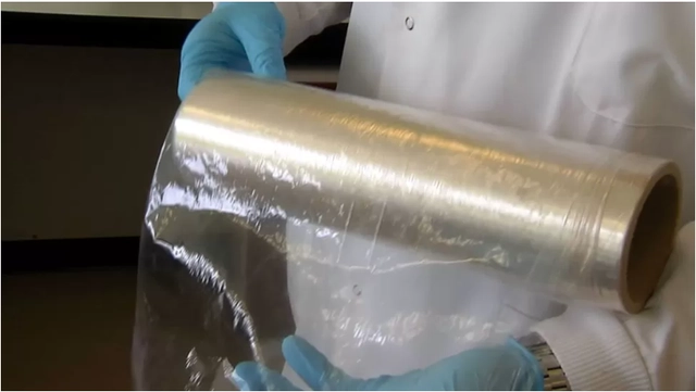 Tôm là loài động vật vô cùng thân thuộc với chúng ta nhưng có lẽ ít ai biết được rằng loài động vật phổ biến này lại có thể sở hữu "vũ khí đặc biệt" giúp bảo vệ mội trường.