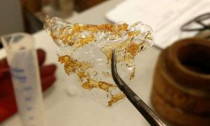 Các tấm chitosan khô sau đó được hòa tan vào dung dịch và màng polyme được hình thành nhờ có các kỹ thuật xử lý thông thường.