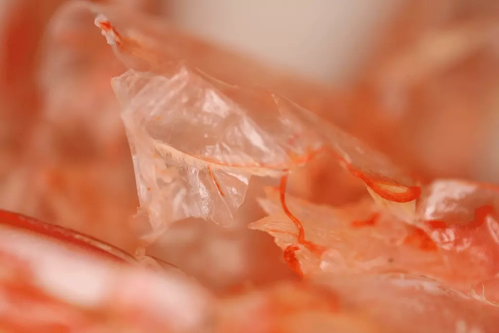 Vỏ tôm sau khi mua về được làm sạch, xử lý hoá học sau đó phơi khô trở thành một màng nhựa mỏng.